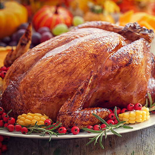 turkey recipes image